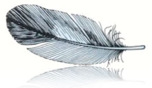 Feather, Uniform Pinnate